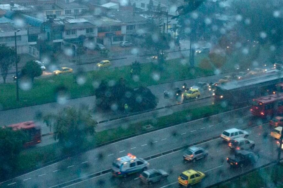 Árbol en la mitad de la Autopista Norte dificulta el paso