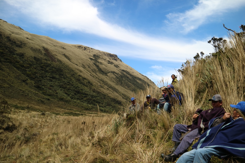 Páramo de Piura, provincia de Ayabaca, Perú, durante la semana del páramo donde diferentes grupos de distintos países se reunieron para intercambiar experiencias sostenibles. / Víctor Cangrejo