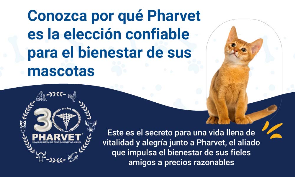 Pharvet, la elección confiable para el bienestar de sus mascotas