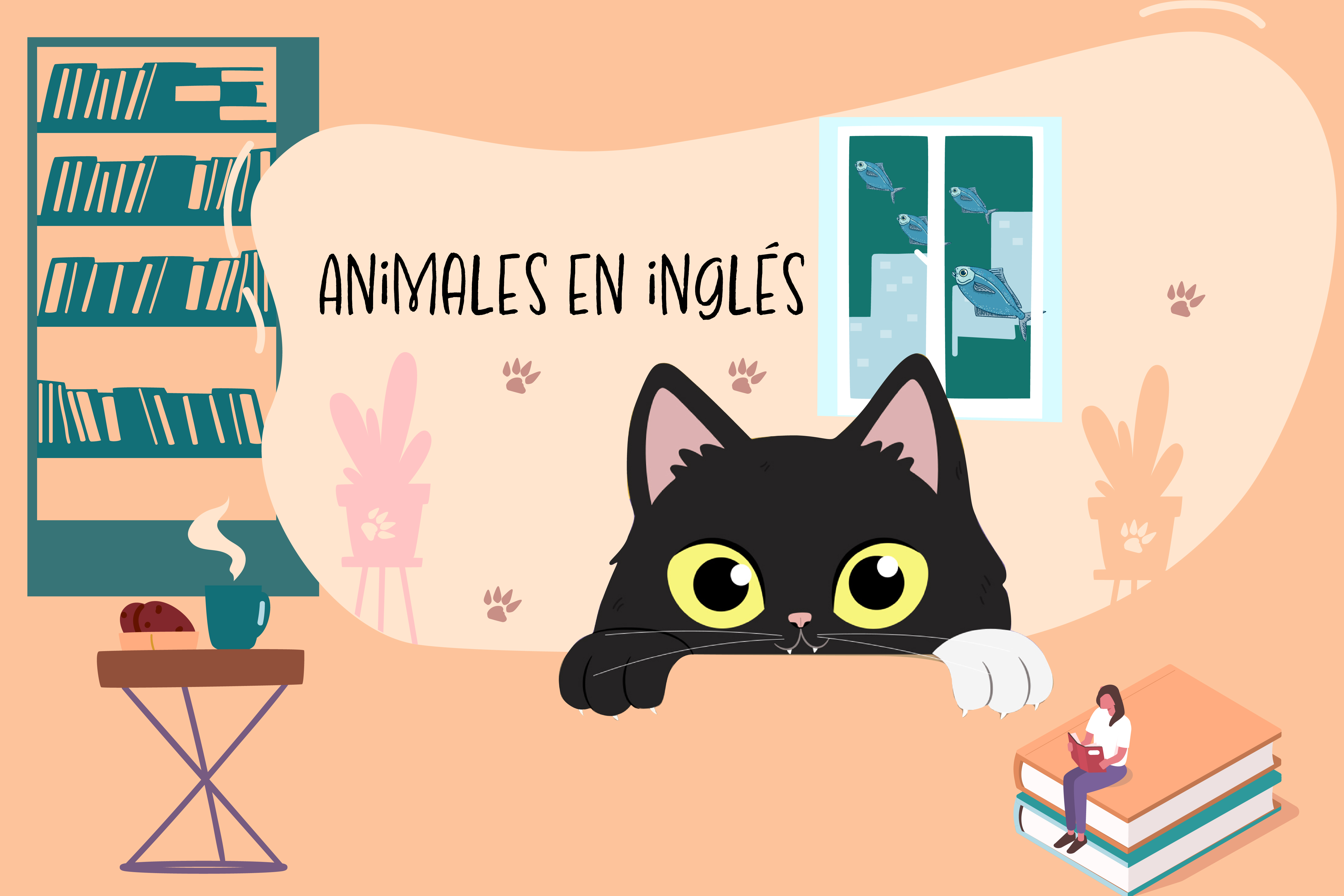 ¿Cómo se dice gato y otros animales en inglés? Aquí le decimos