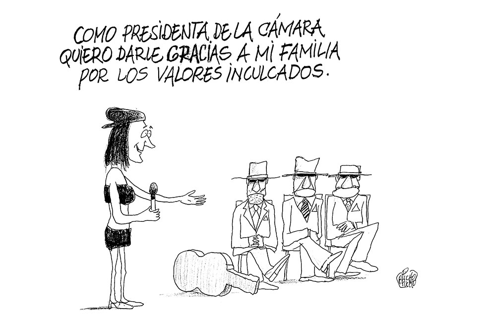 Alto turmequé