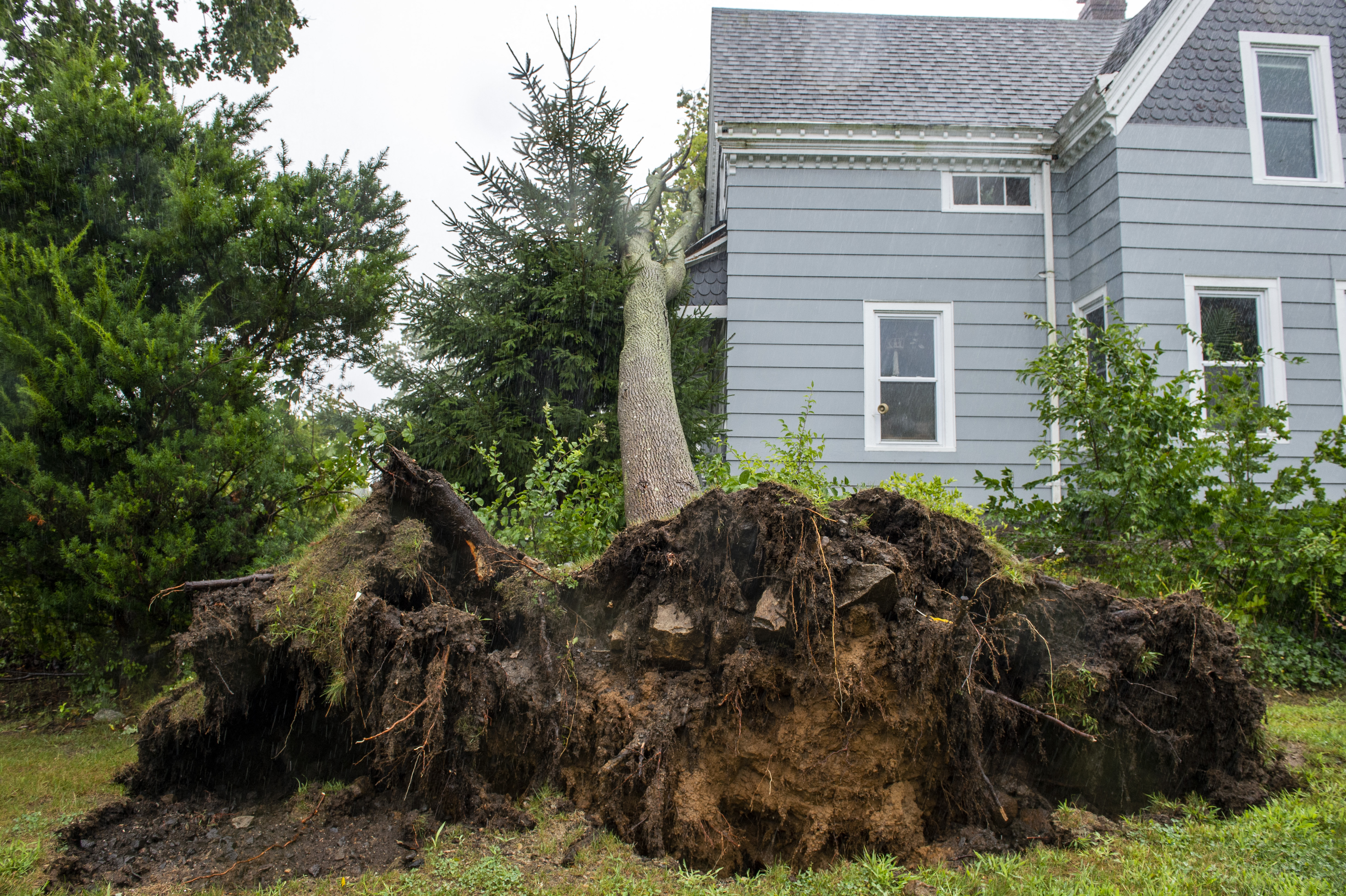 Fallen trees cause many power lines to break as strong winds tore weak branches apart and uprooted root systems from the ground during Tropical Storm Henri in New London, Connecticut on August 22, 2021. - Tropical Storm Henri slammed into Rhode Island on the US east coast Sunday, knocking out power to thousands of Americans, canceling scores of flights and bringing record rainfall. The storm -- earlier downgraded from a Category 1 Hurricane -- hit land near the town of Westerly at approximately 12:15 PM (1615 GMT), the National Weather Service said. (Photo by JOSEPH PREZIOSO / AFP)