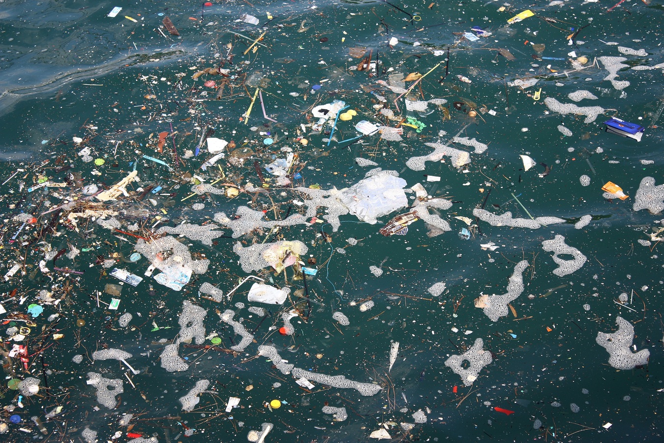 Florecen ecosistemas en el Gran Parche de basura del Pacífico, pero es una mala noticia