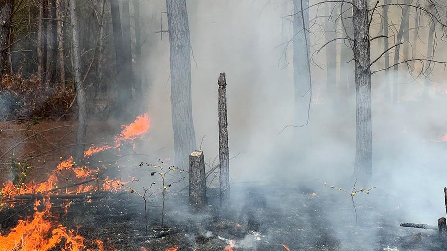Invasores incendiaron bosque de la hacienda Japio, que fue desalojada en el Cauca