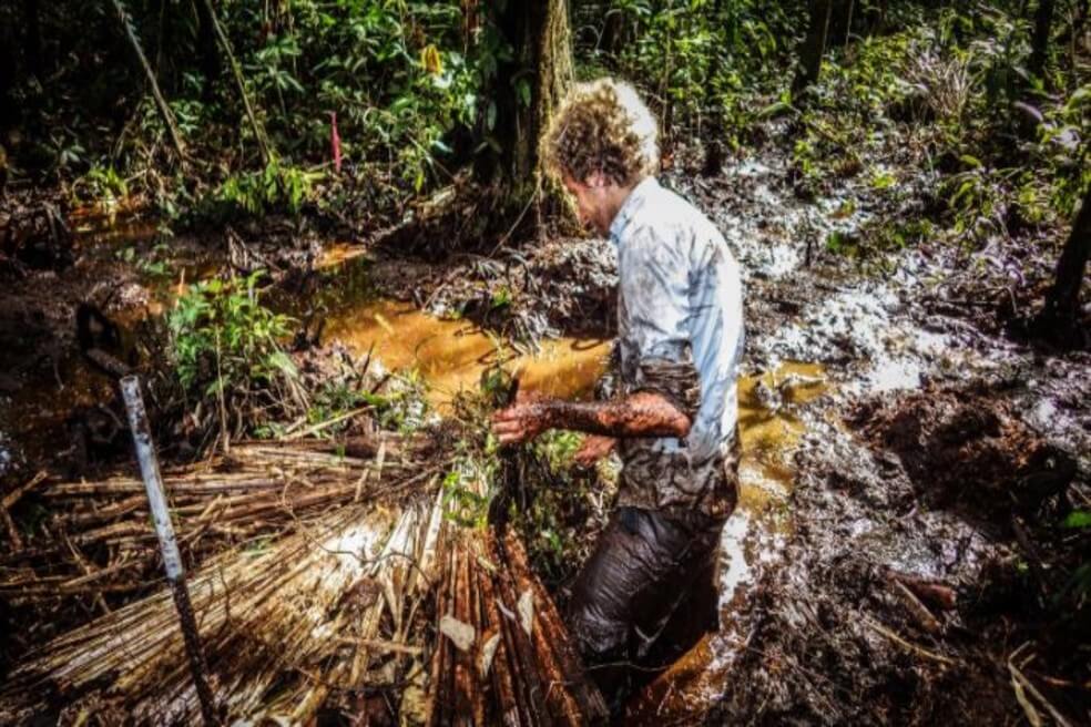 2030 es el año límite para evitar que los ecosistemas colapsen, según estudio
