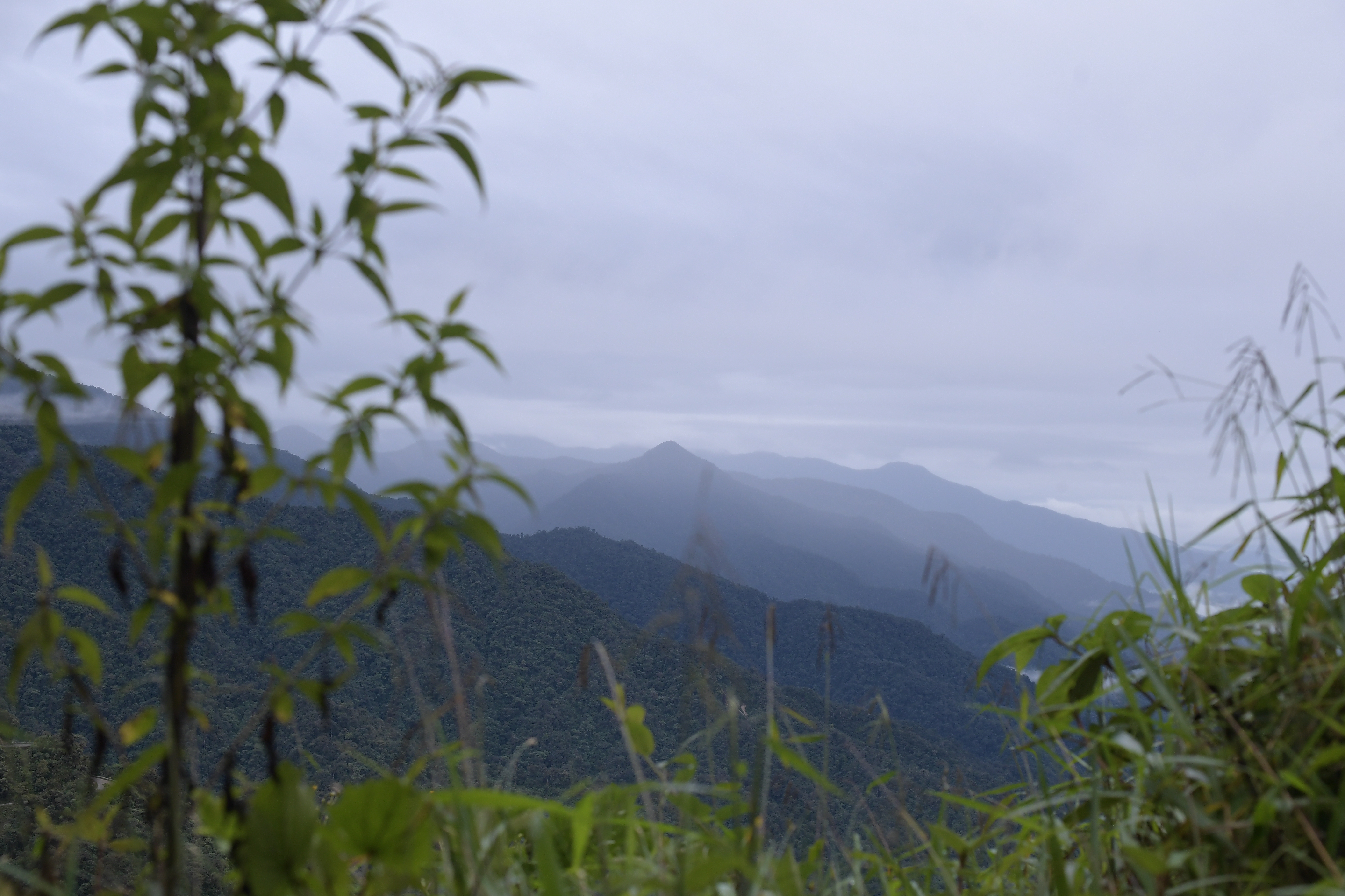 Padre e hijo fueron asesinados en zona rural de Huila