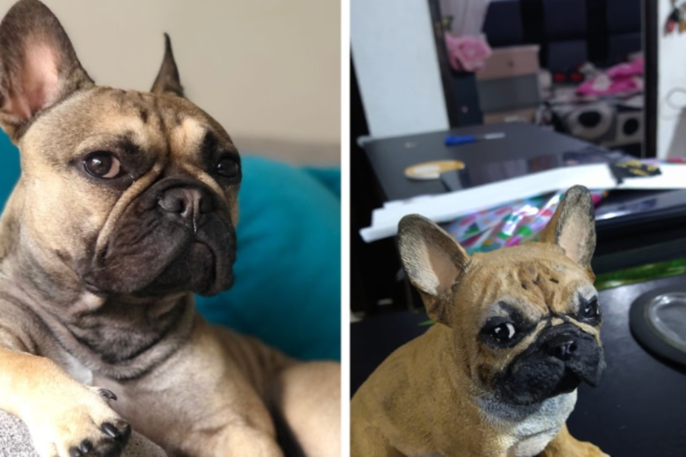 Memory Art, una marca que permite crear un homenaje para su mascota fallecida