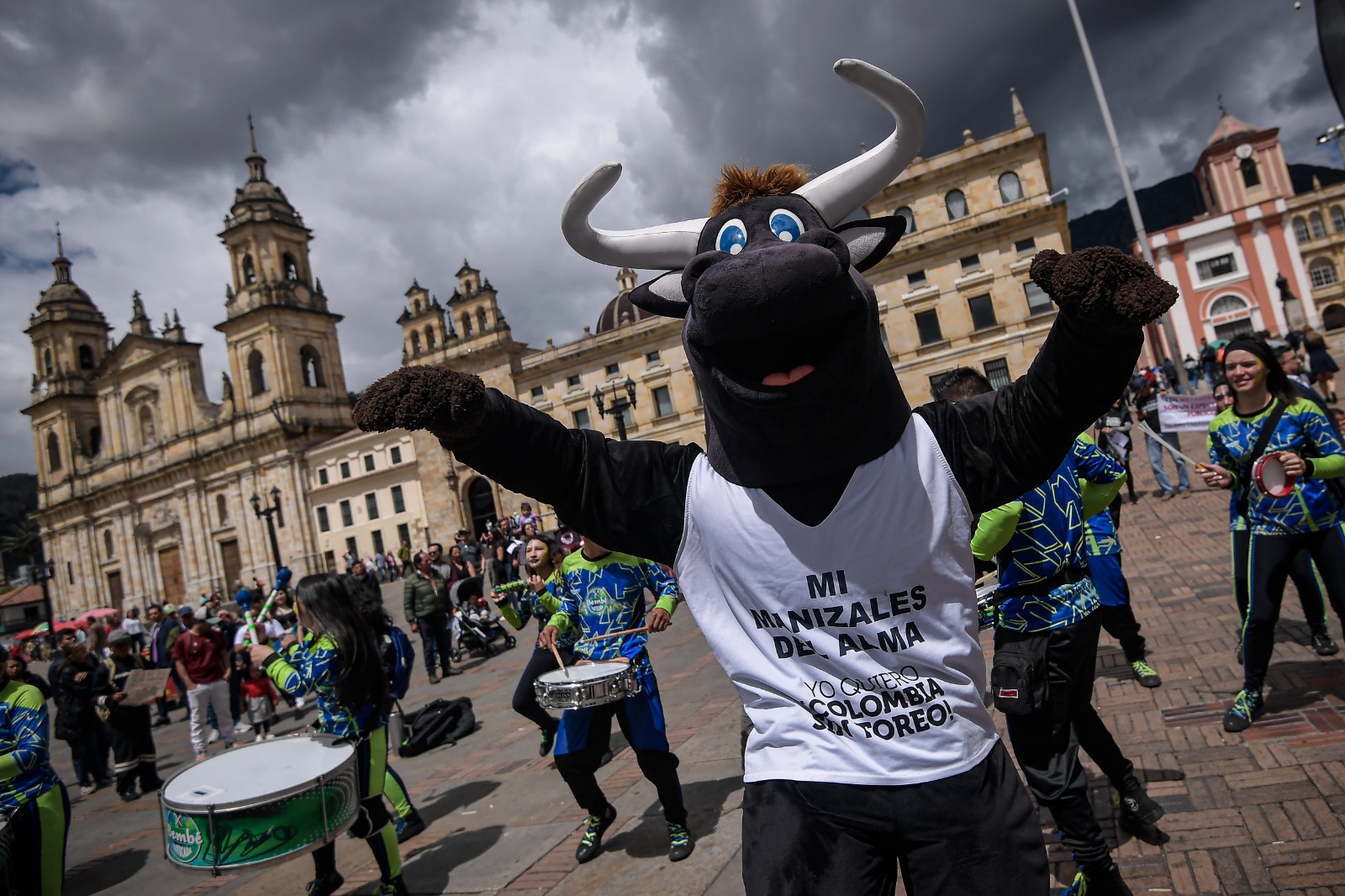 Congreso aprueba en último debate la prohibición de las corridas de toros  en Colombia | Noticias hoy | EL ESPECTADOR