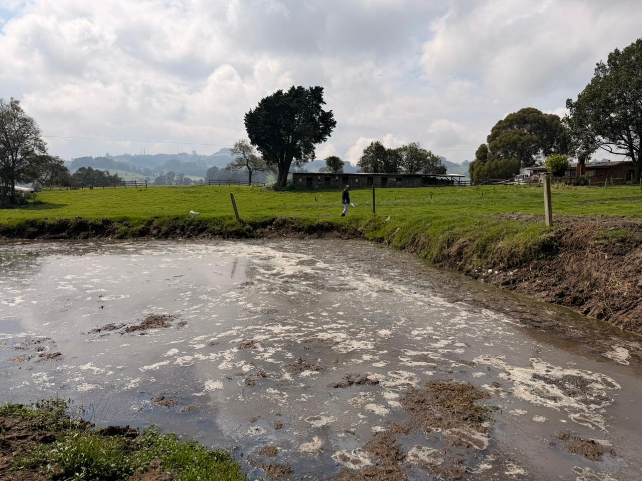 Sancionan a establo en zona rural de Zipaquirá por contaminar agua con estiércol