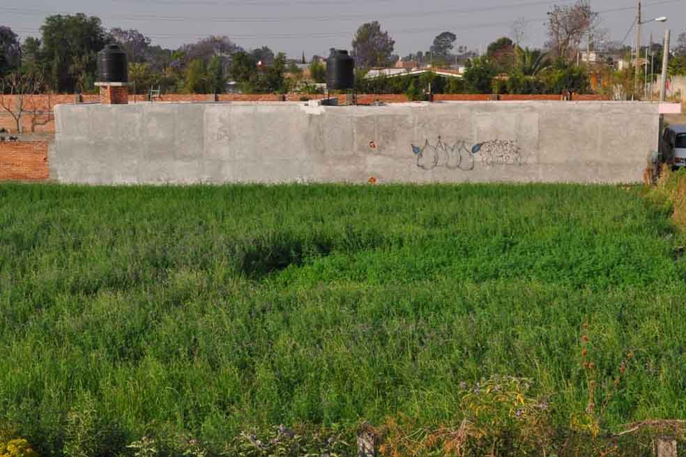 Plan de Desarrollo contradice acuerdos en La Habana sobre la tierra, dicen ONG