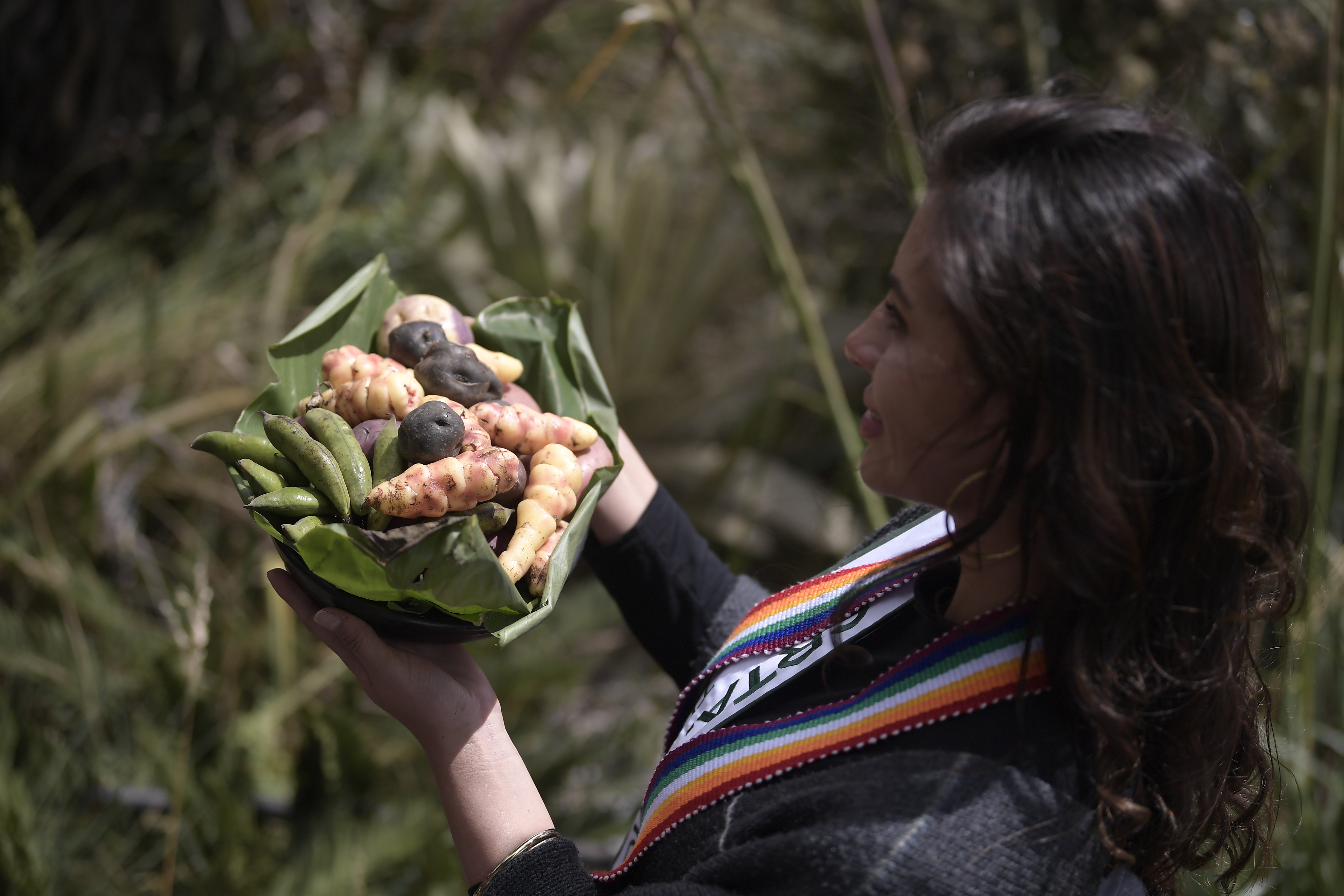 Cumbre campesina previa a la COP16 se realizará el 29 y 30 de agosto en Fusagasugá