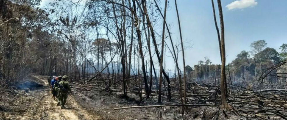 Los seis incendios forestales que encienden alarmas en Guaviare