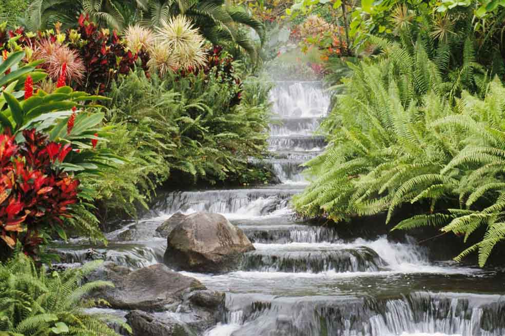 El nuevo plan para defender la biodiversidad