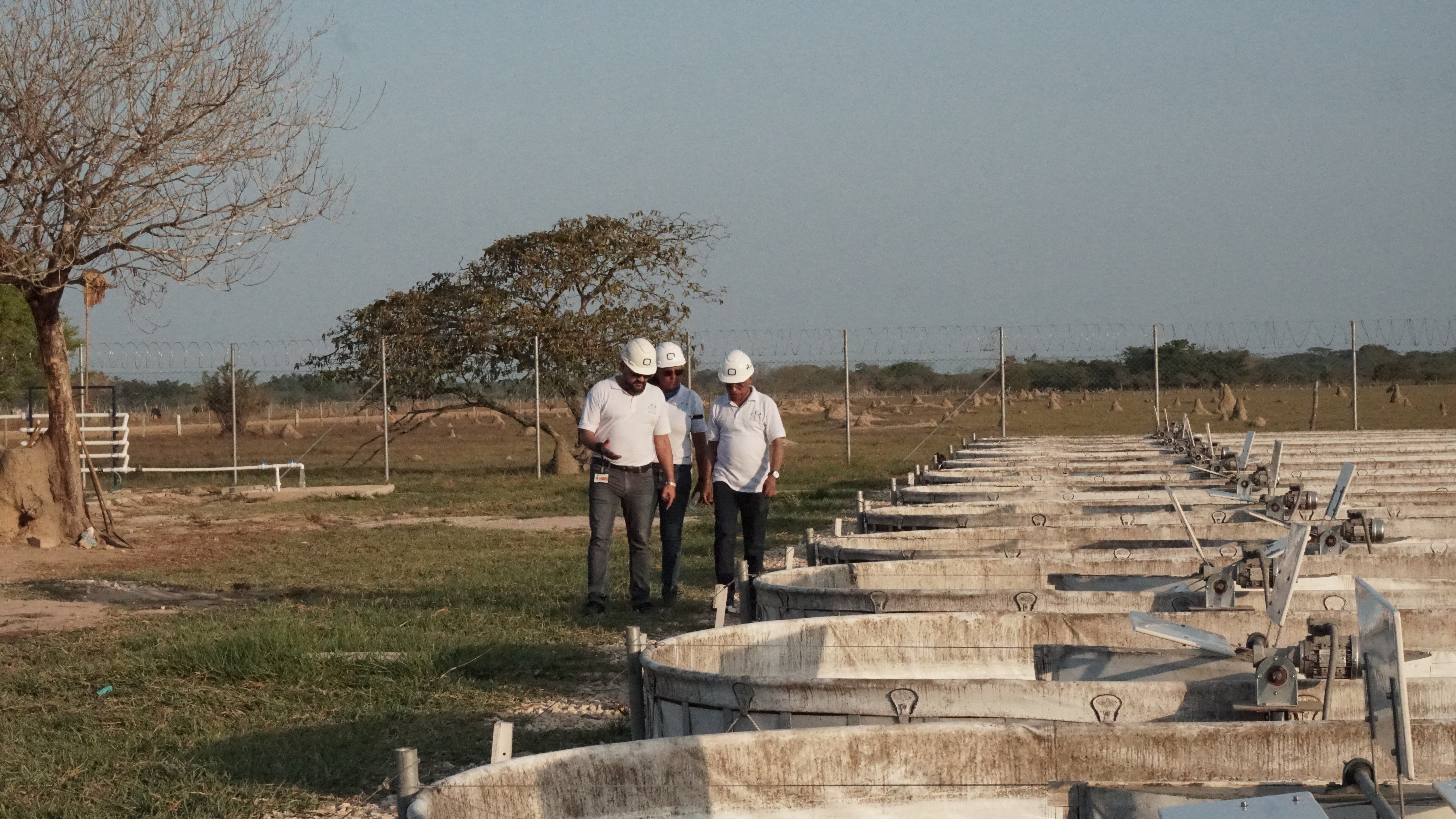 Ficosucre, reconocido como el mejor proyecto ambiental de Latinoamérica