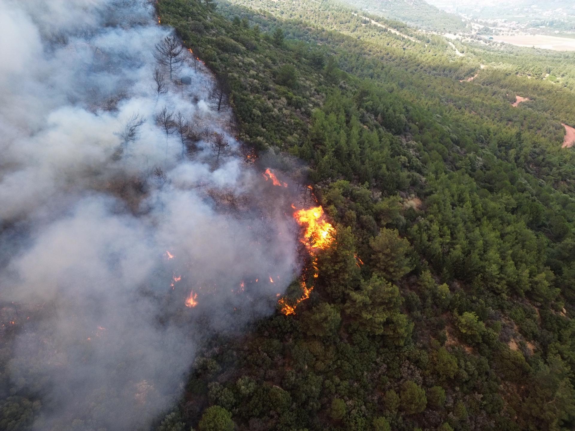 París en alerta e incendios en Turquía: Europa vive una extrema ola de calor