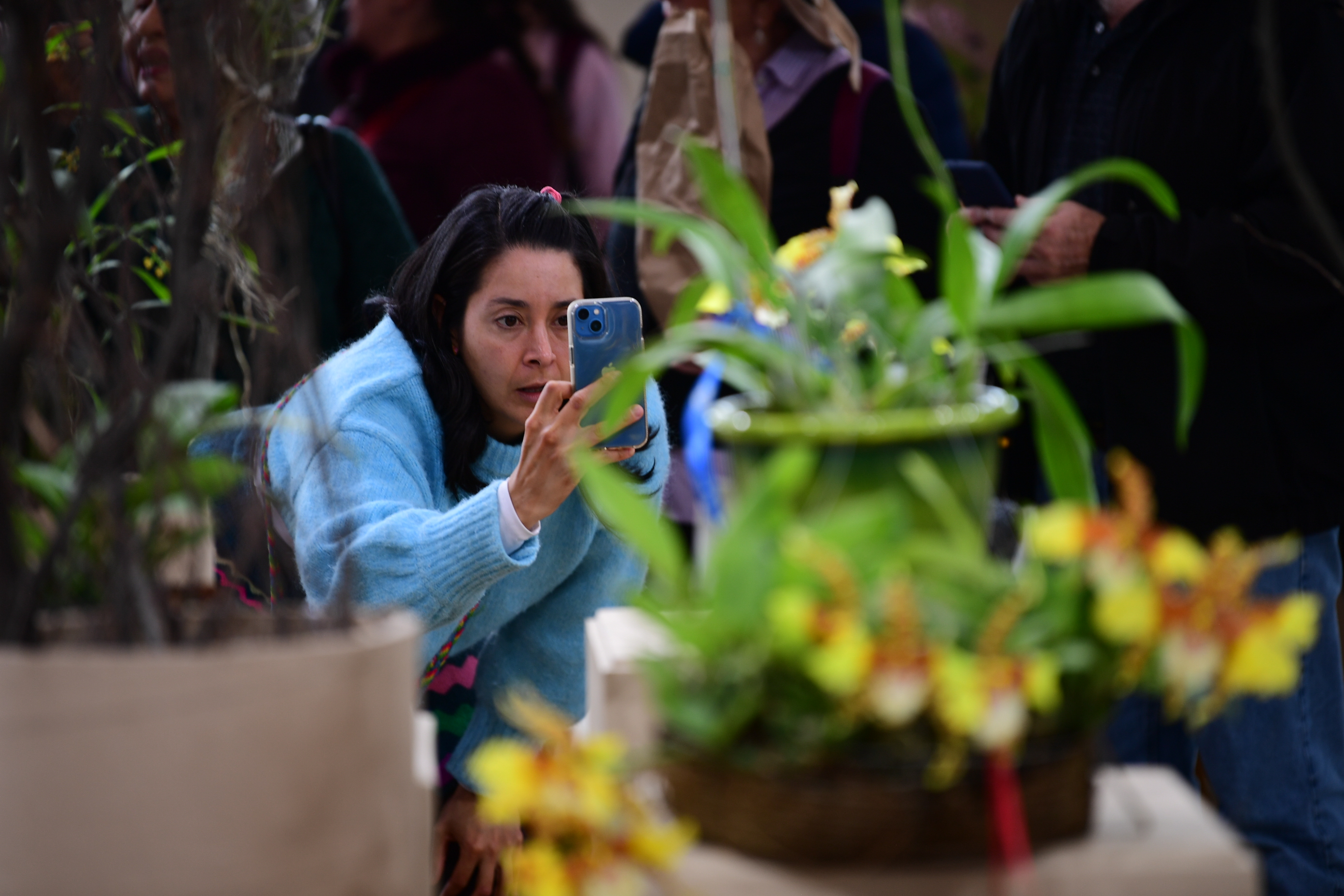 Exposición de orquídeas y otros aspectos