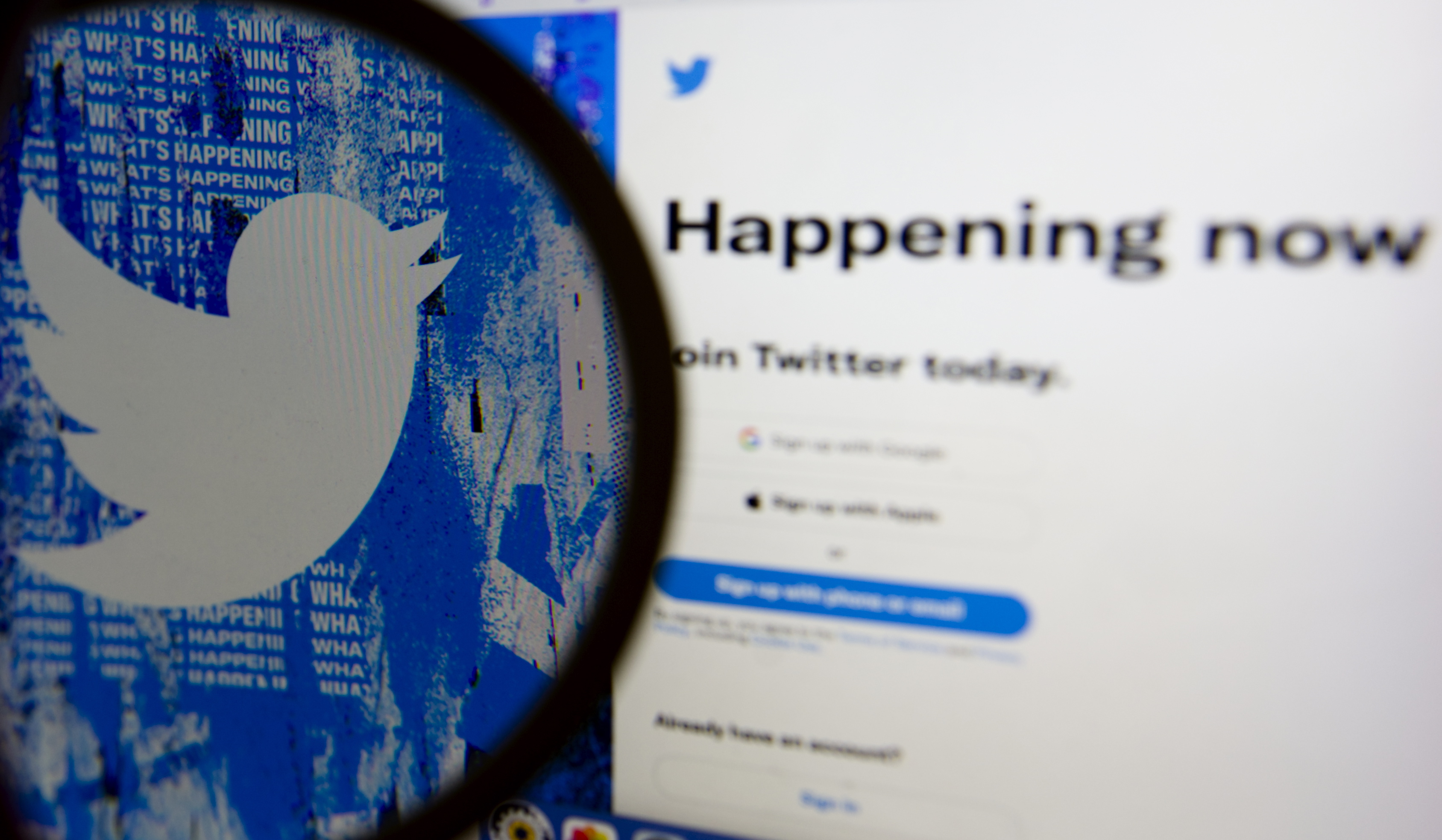 Twitter restringe la lectura de tuits para contener el uso de datos por la IA