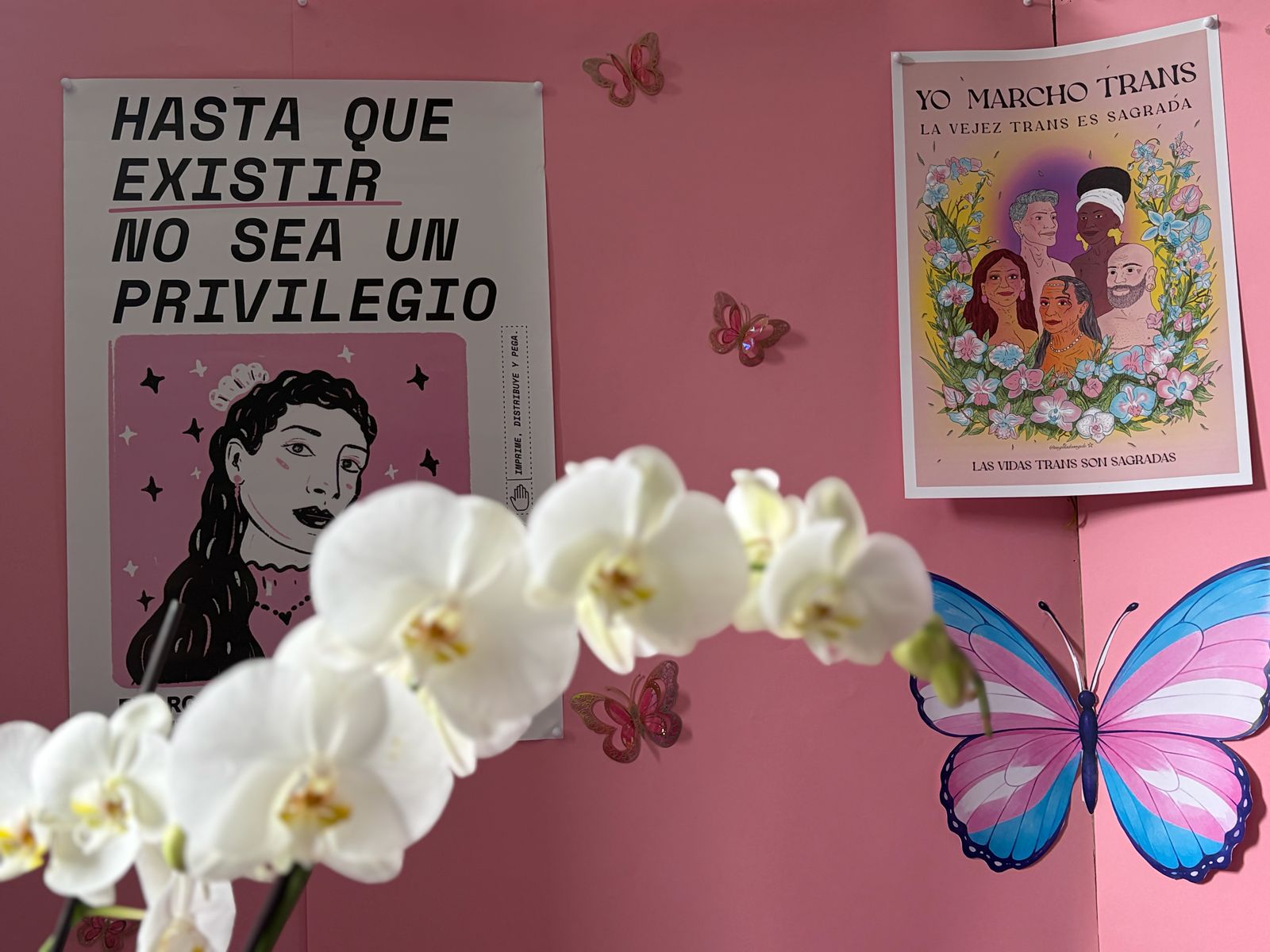 La refugiada venezolana que hizo historia judicial para los solicitantes de asilo