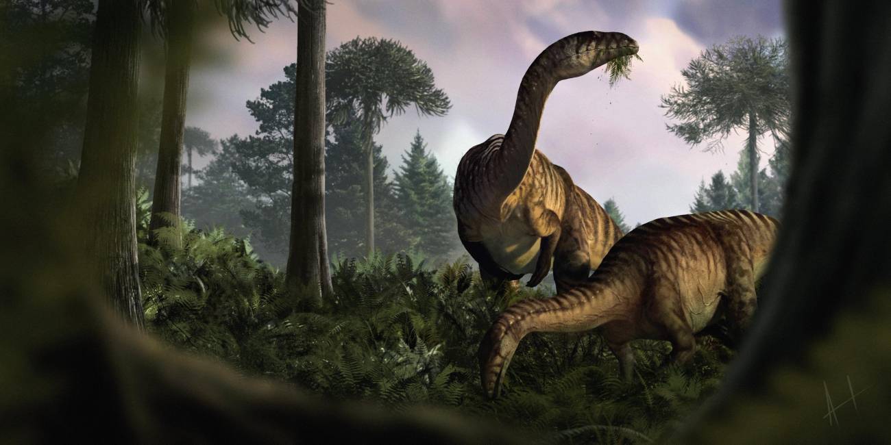 Las pistas claves de los dinosaurios, halladas en vómito y excremento fosilizados