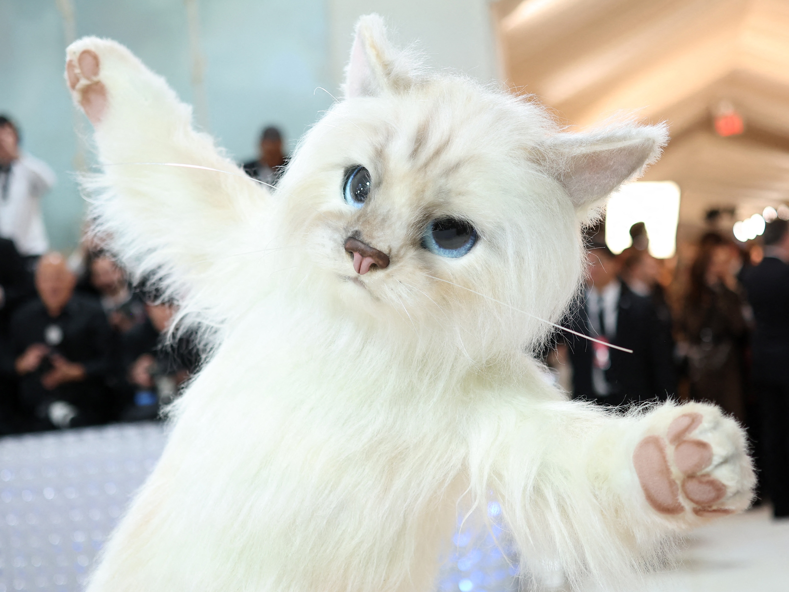 Met Gala 2023