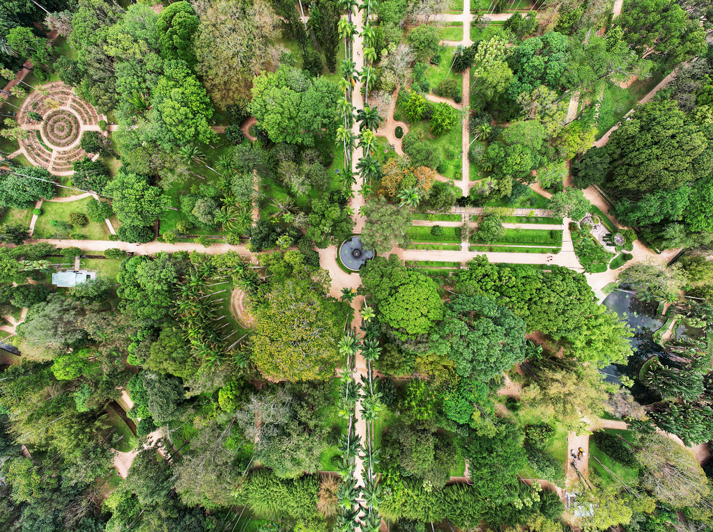 Turismo de naturaleza en Brasil, qué hacer en Brasil.