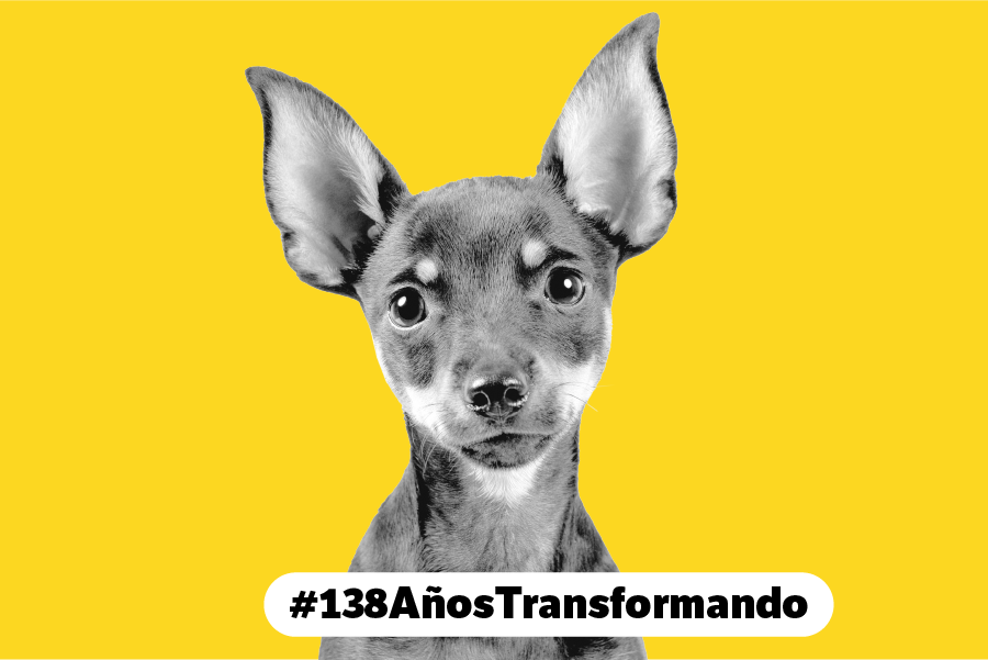 Animales en Colombia.