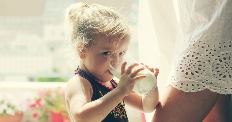 Leche para todos los gustos, ¿cuáles son sus beneficios?