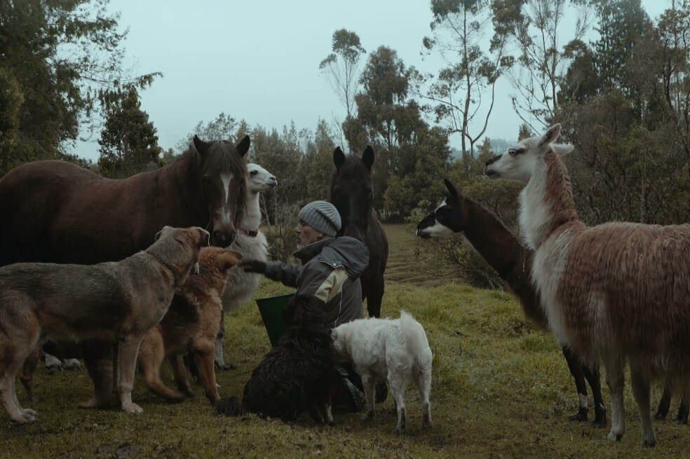 Este viernes se estrenará, por Señal Colombia, la serie «Gente del común, fuera de lo común»