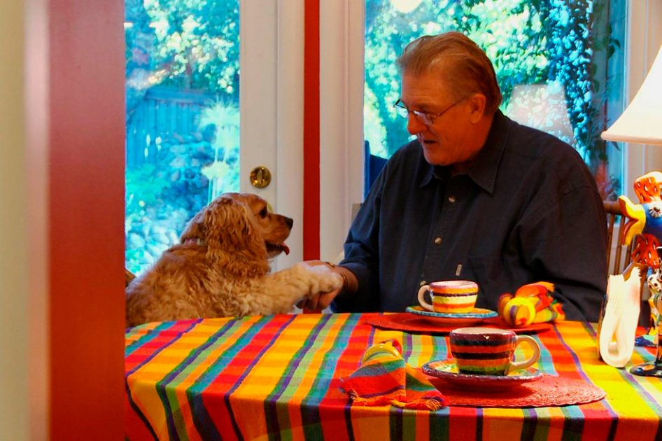 Animales que salvan vidas