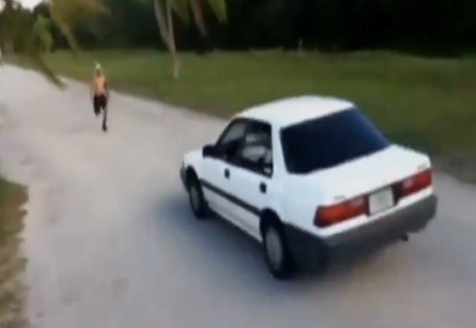 Hombre estuvo cerca de morir por intentar impresionar