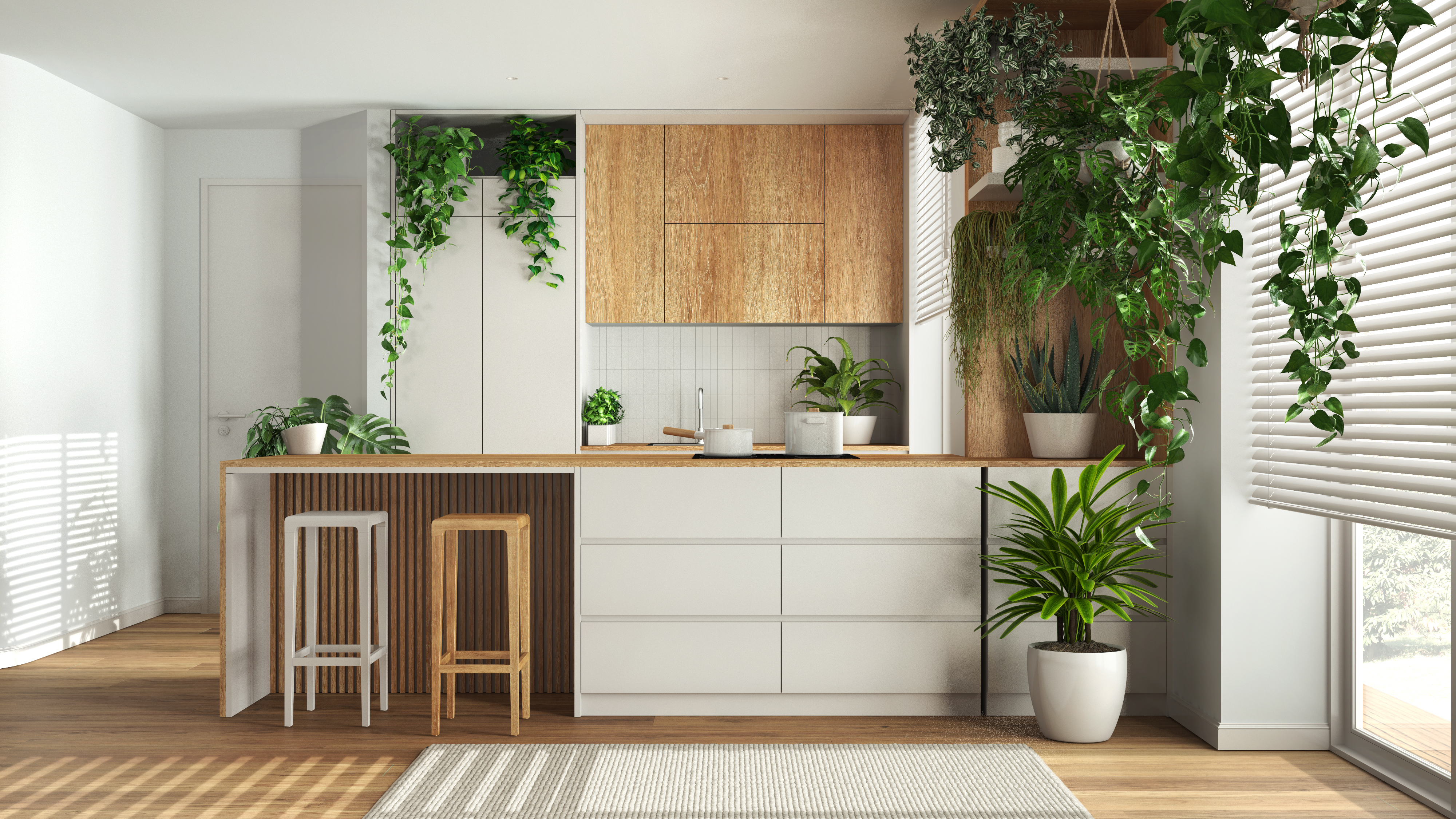 ¿Plantas en la cocina? Bienvenidas: estas son algunas buenas opciones