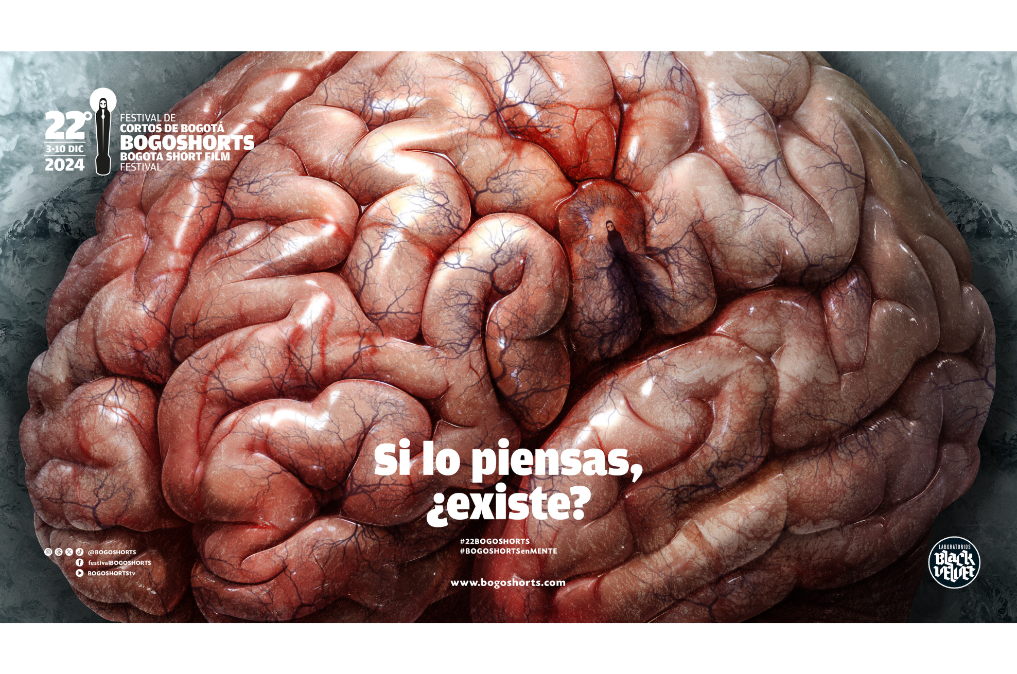 "La edición de la mente" es lema de este año del festival.
