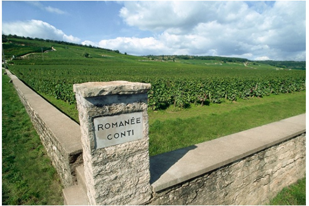 Secretos del Pinot Noir