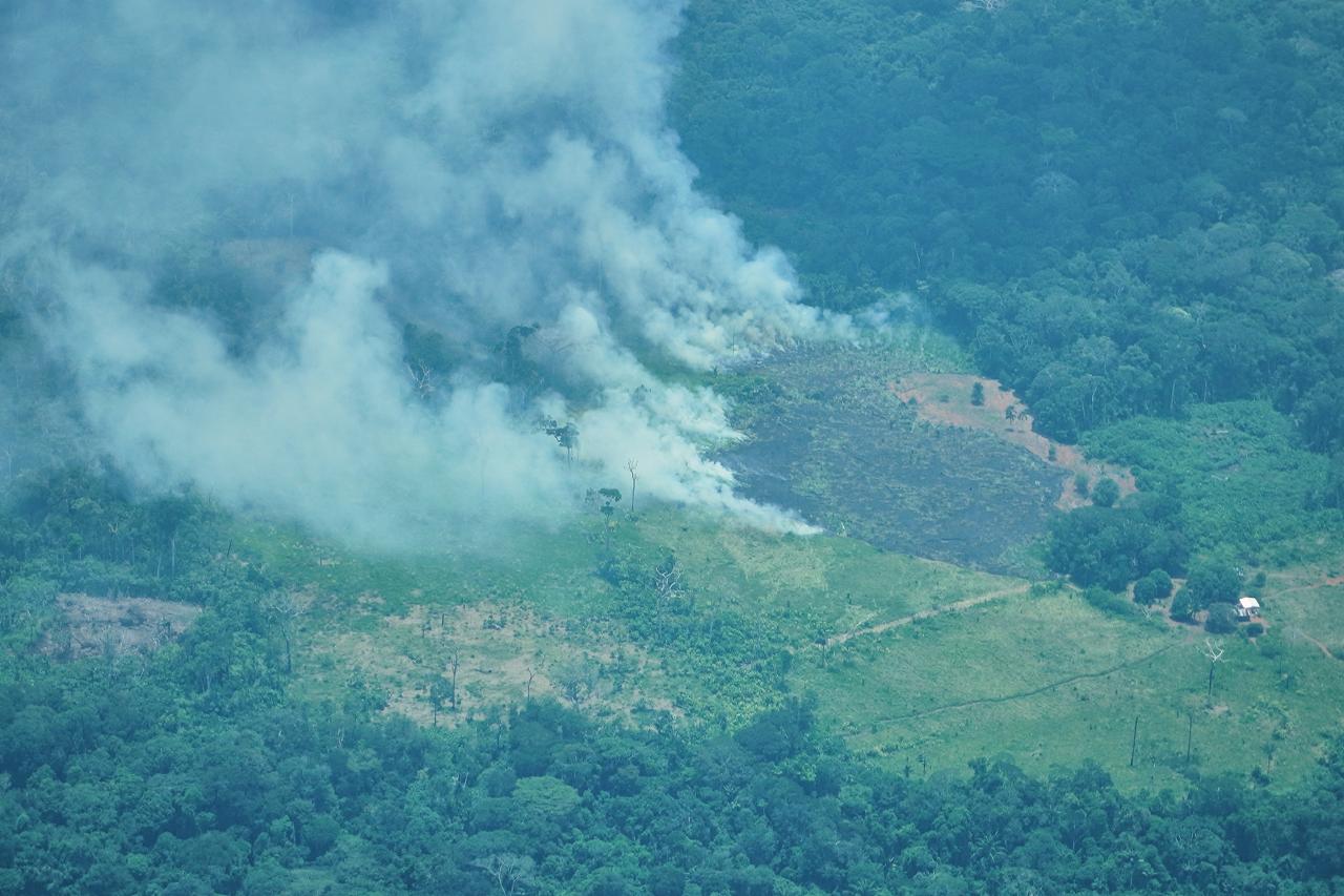 La Defensoría ha advertido, a través de mecanismos como la Alerta Temprana 001, sobre la relación entre deforestación, economías ilegales, violencia y desprotección de derechos.
