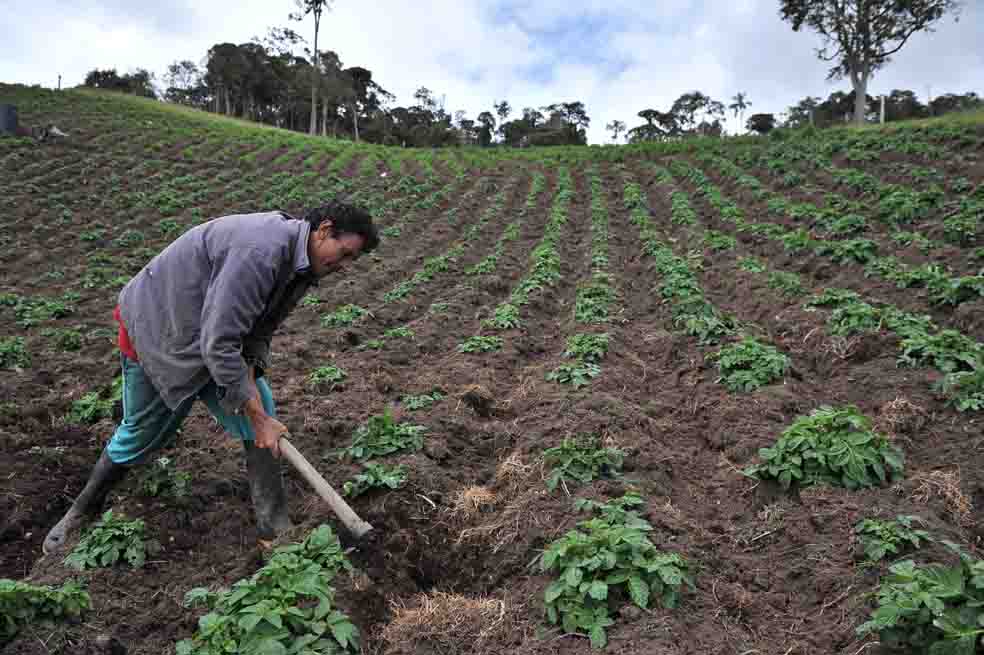 Compra de tierras: claves y dudas que deja el acuerdo entre el Gobierno y Fedegán