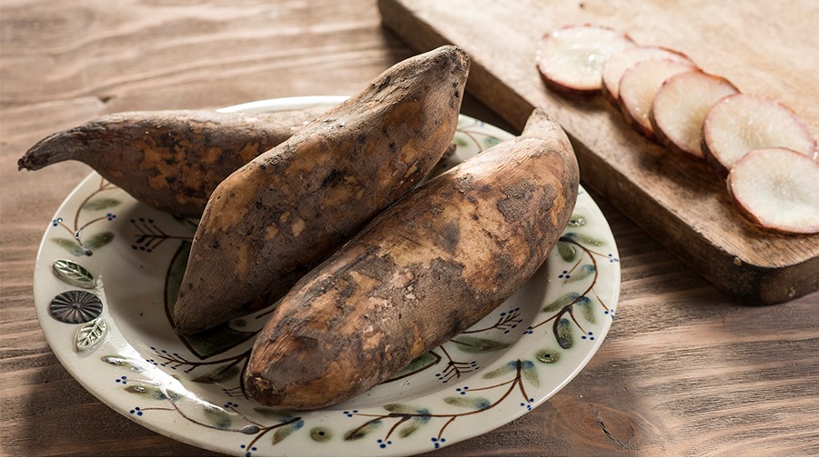 Esto es un yacón: ¿Para qué sirve y cómo diferenciarlo de la yuca?