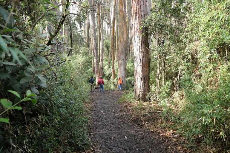 Por este fin de semana cerrarán los Caminos de los Cerros en Bogotá