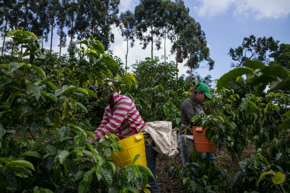 Mujeres rurales, en la primera línea del cambio climático en América Latina
