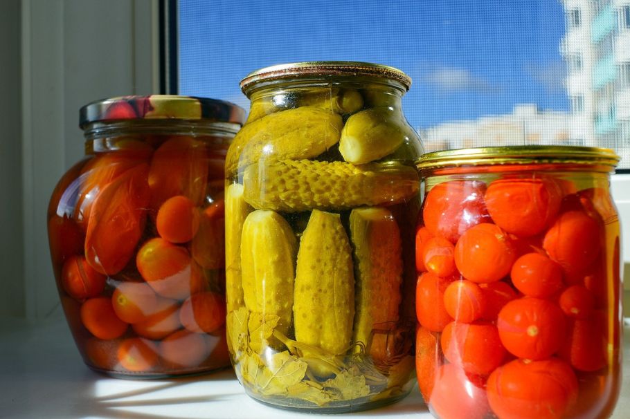 ¿Cómo se cultiva en casa? Las claves para una tener una huerta citadina