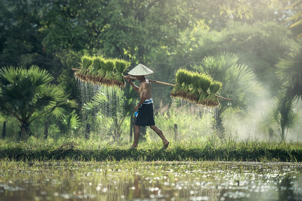 Migración: una alternativa para la agricultura mundial