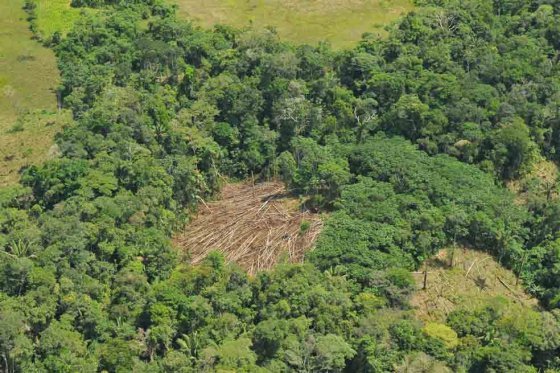 El 40 % de los suelos colombianos tienen algún grado de erosión