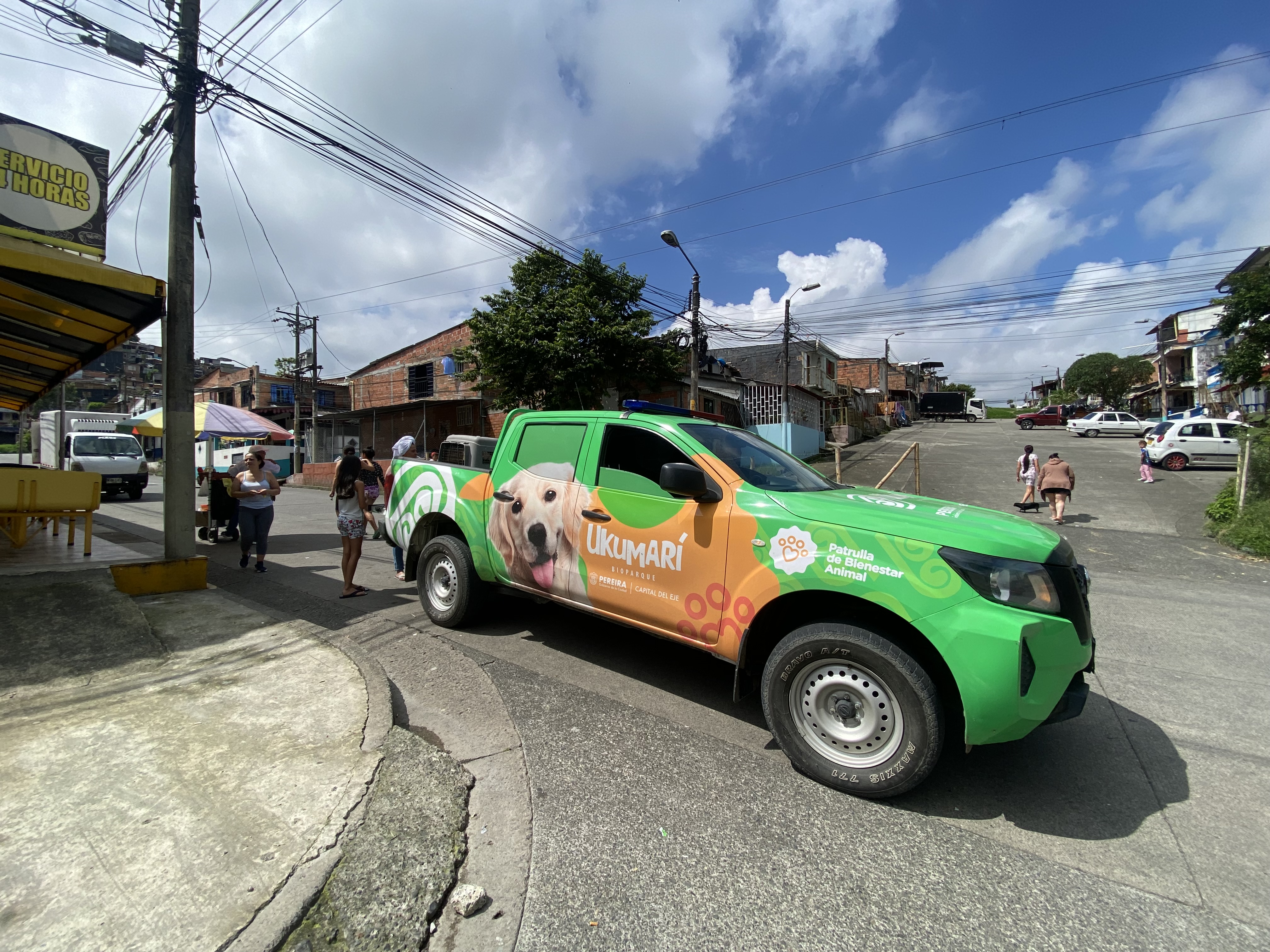 Así es Pelulandia, el centro de bienestar animal de Pereira.