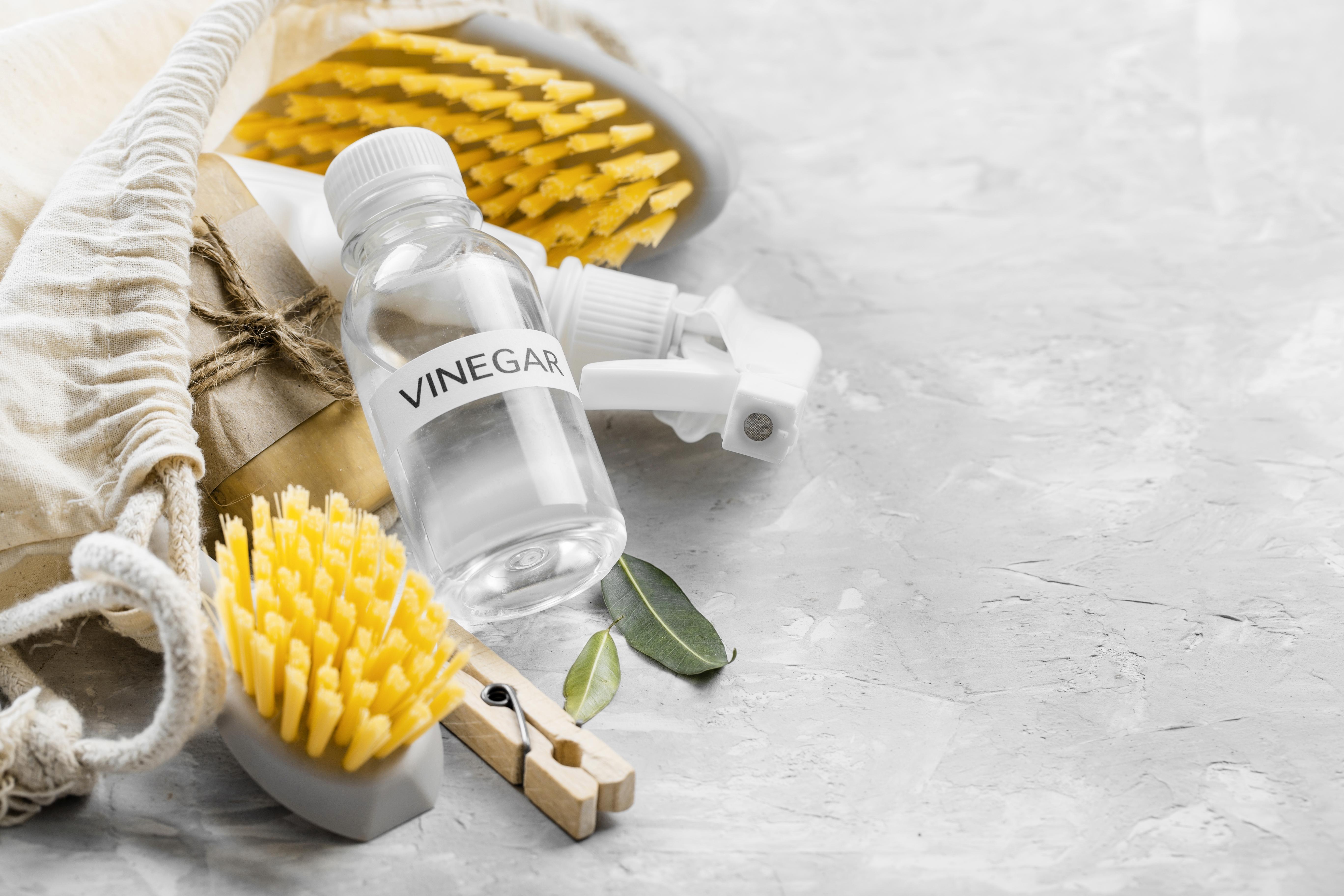 El vinagre, especialmente el vinagre blanco o de manzana, se utiliza a menudo en el cuidado de las plantas por sus propiedades fungicidas, herbicidas y repelentes de plagas.