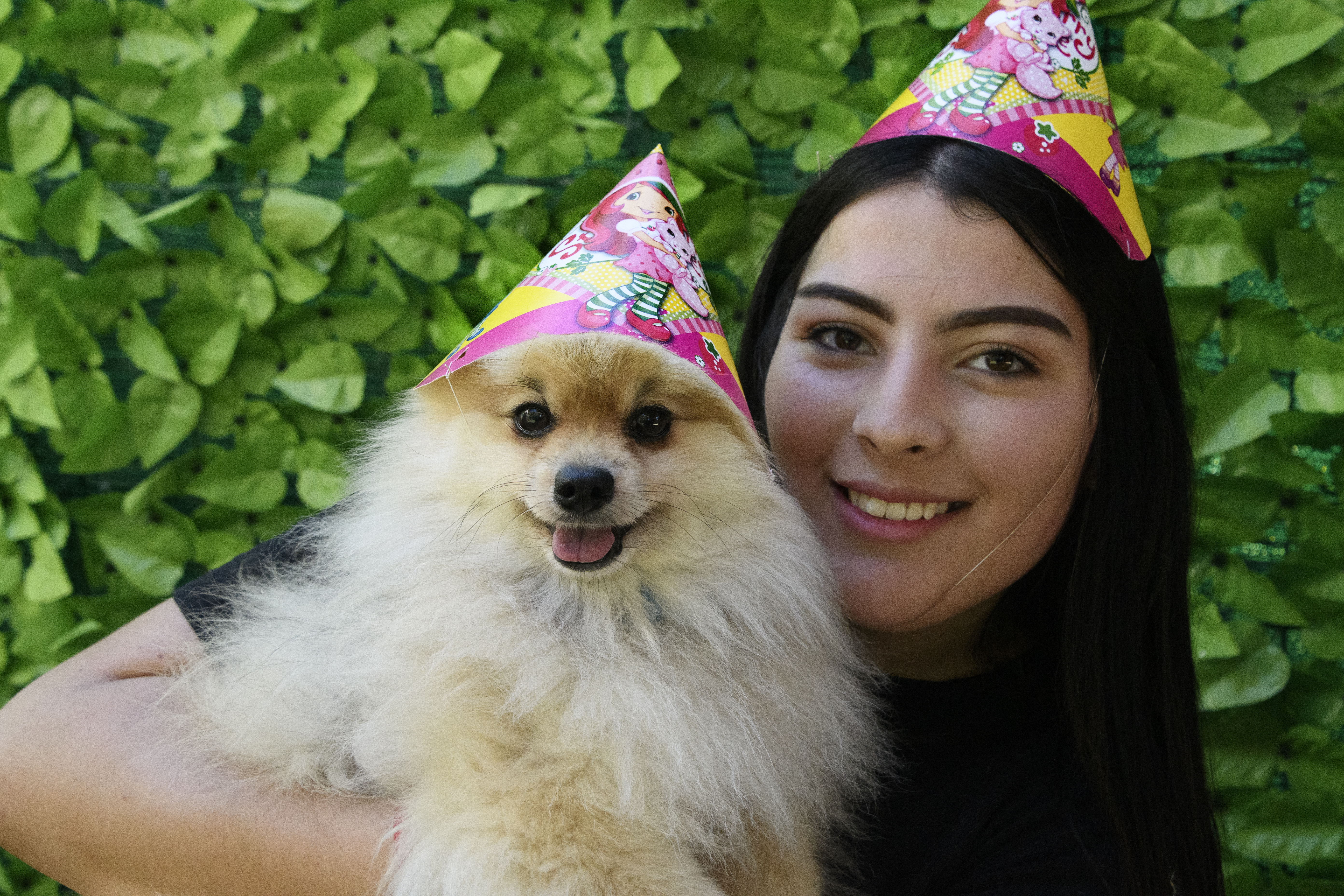 El Perrazo: el restaurante para perros que es “amigable con humanos” en Costa Rica