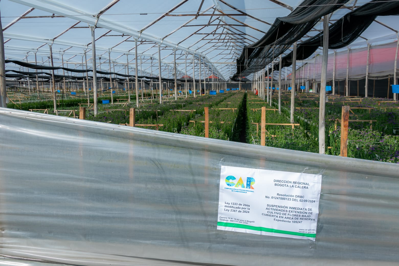 CAR sancionó empresas de flores que tenían cultivos en la reserva Van der Hammen
