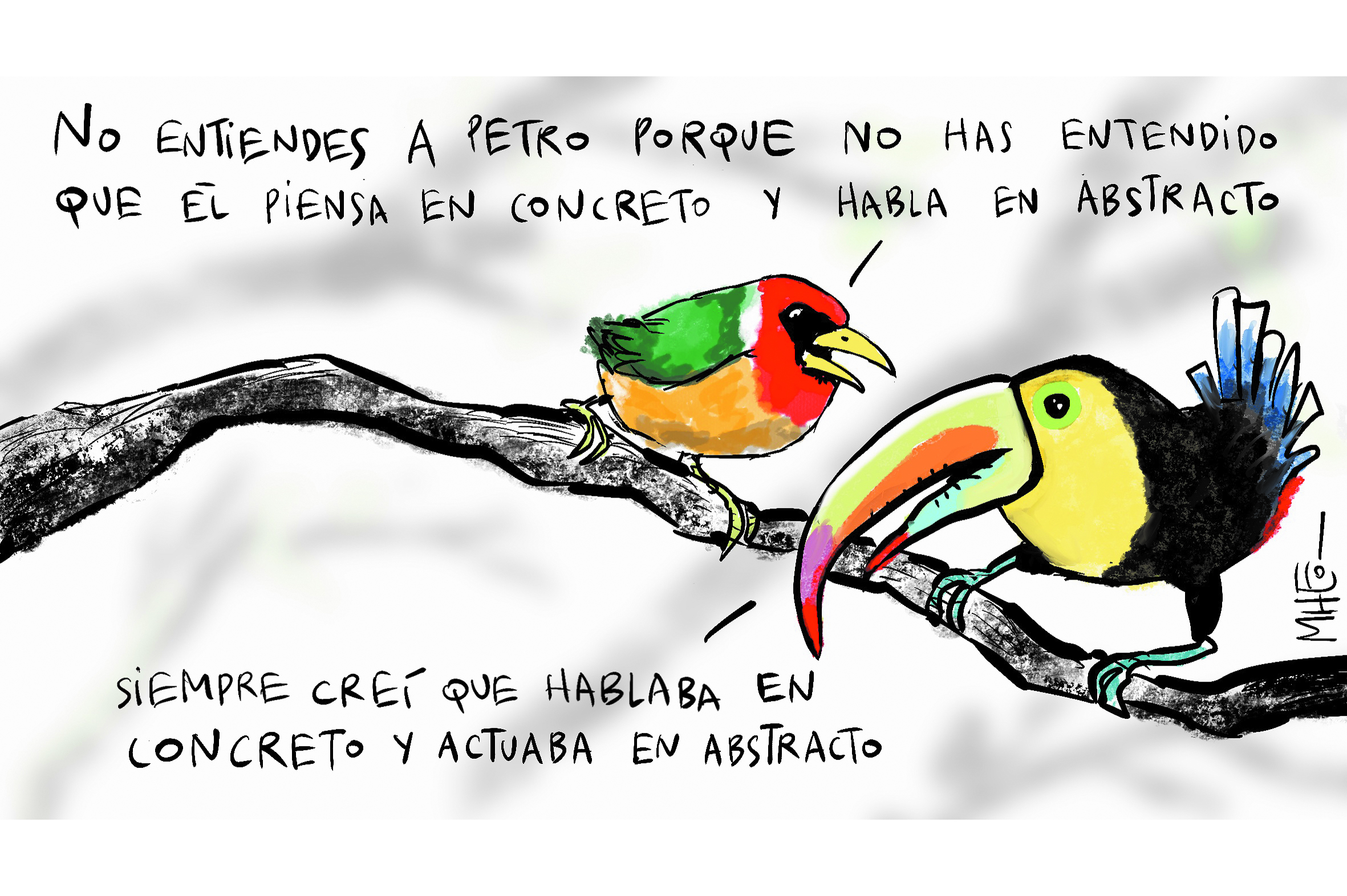 Aves exóticas