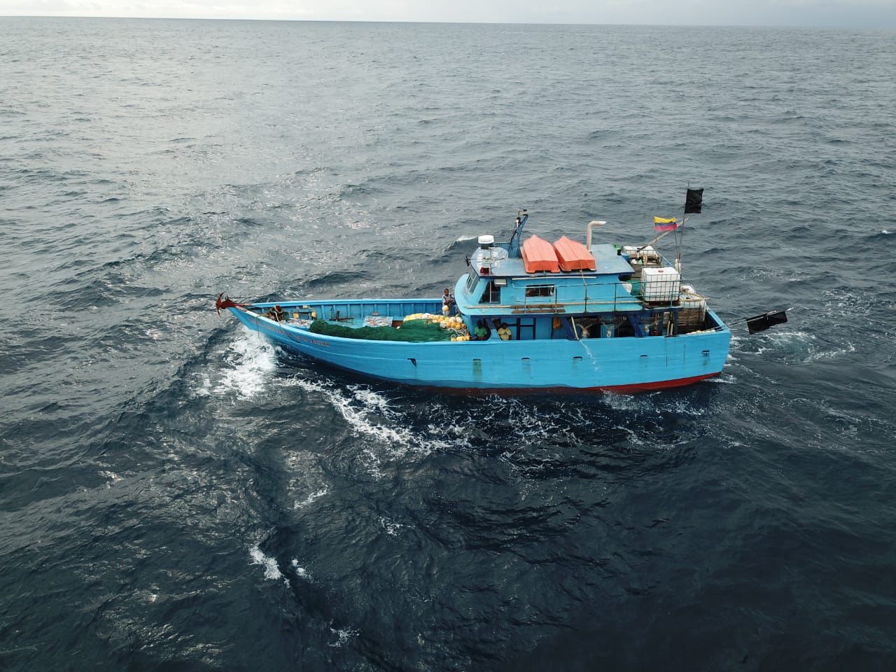 Detectan en Panamá embarcación colombiana con aletas de tiburón