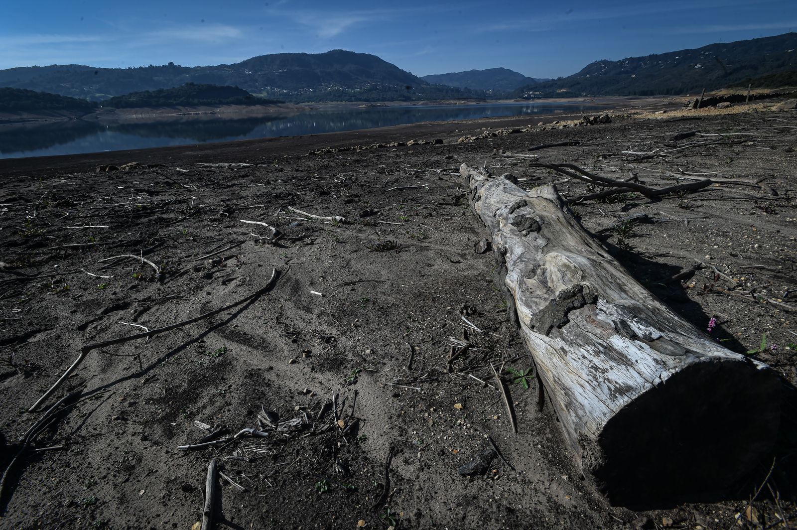 ¿Por qué Bogotá depende de Chingaza para abastecerse de agua?