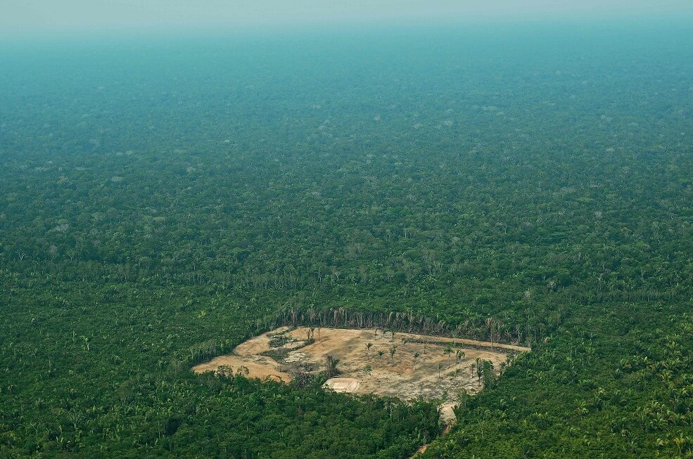 Despedido por Bolsonaro por revelar datos de la inquietante deforestación en Brasil