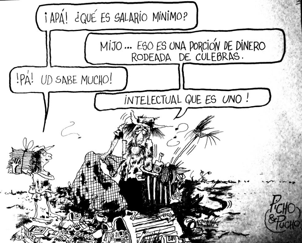 Picho y Pucho